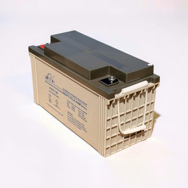 Leoch 6-EV-120
