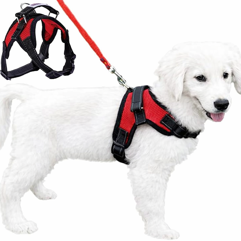 Breathable Mesh Dog Harness – Step-In Vest for Walking & Car Travel