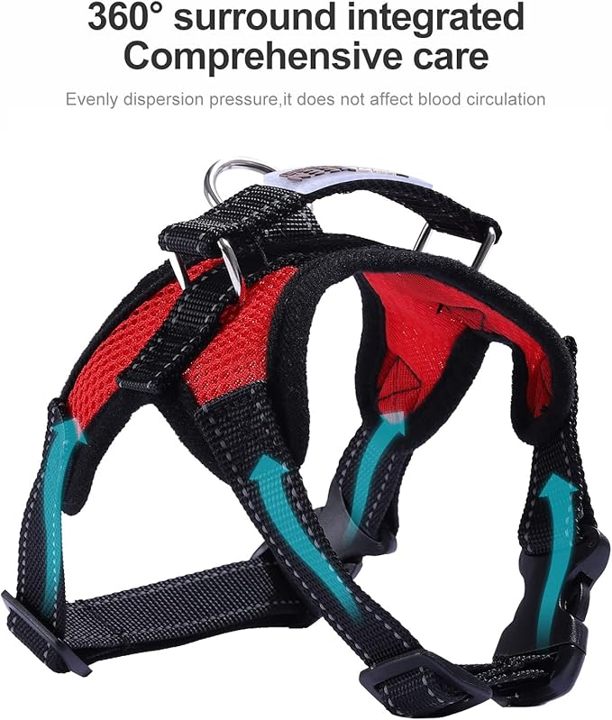 Breathable Mesh Dog Harness – Step-In Vest for Walking & Car Travel