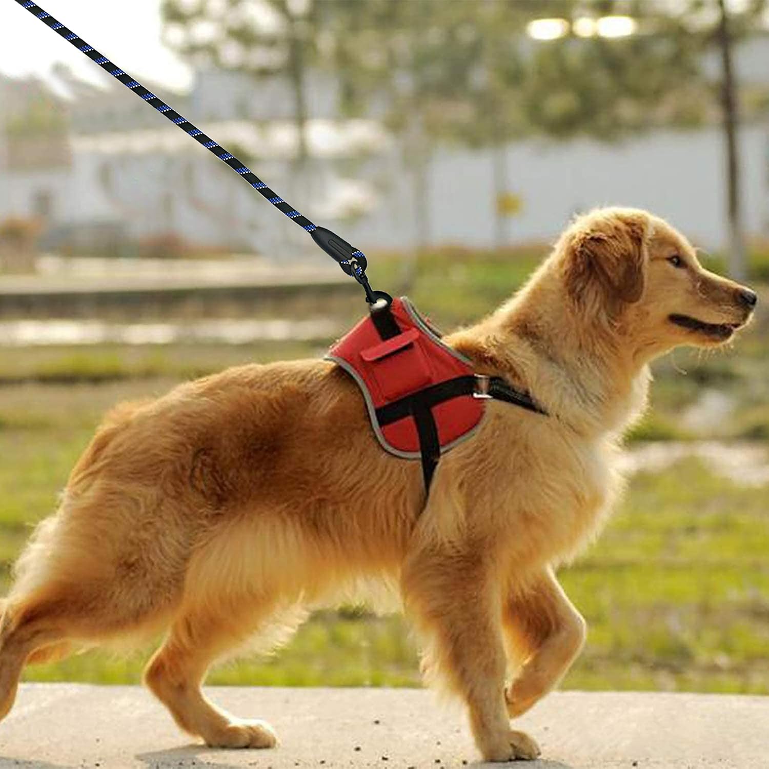 Dog Leash 5 FT, Reflective Rope Lead for Medium & Large Dogs