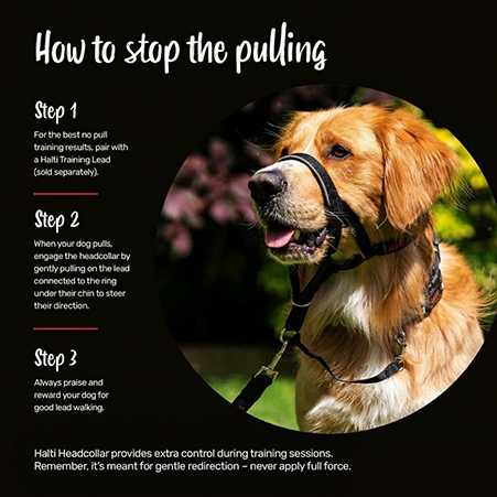 Dog Anti-Pull Headcollar — Adjustable, Reflective & Lightweight