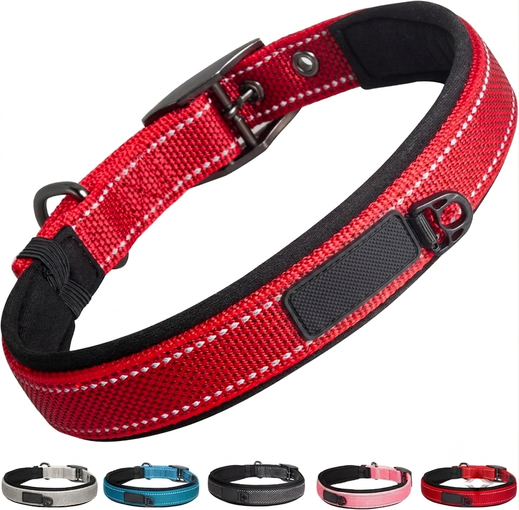 Heavy Duty Dog Collar with Metal Buckle – Double-Layer Webbing