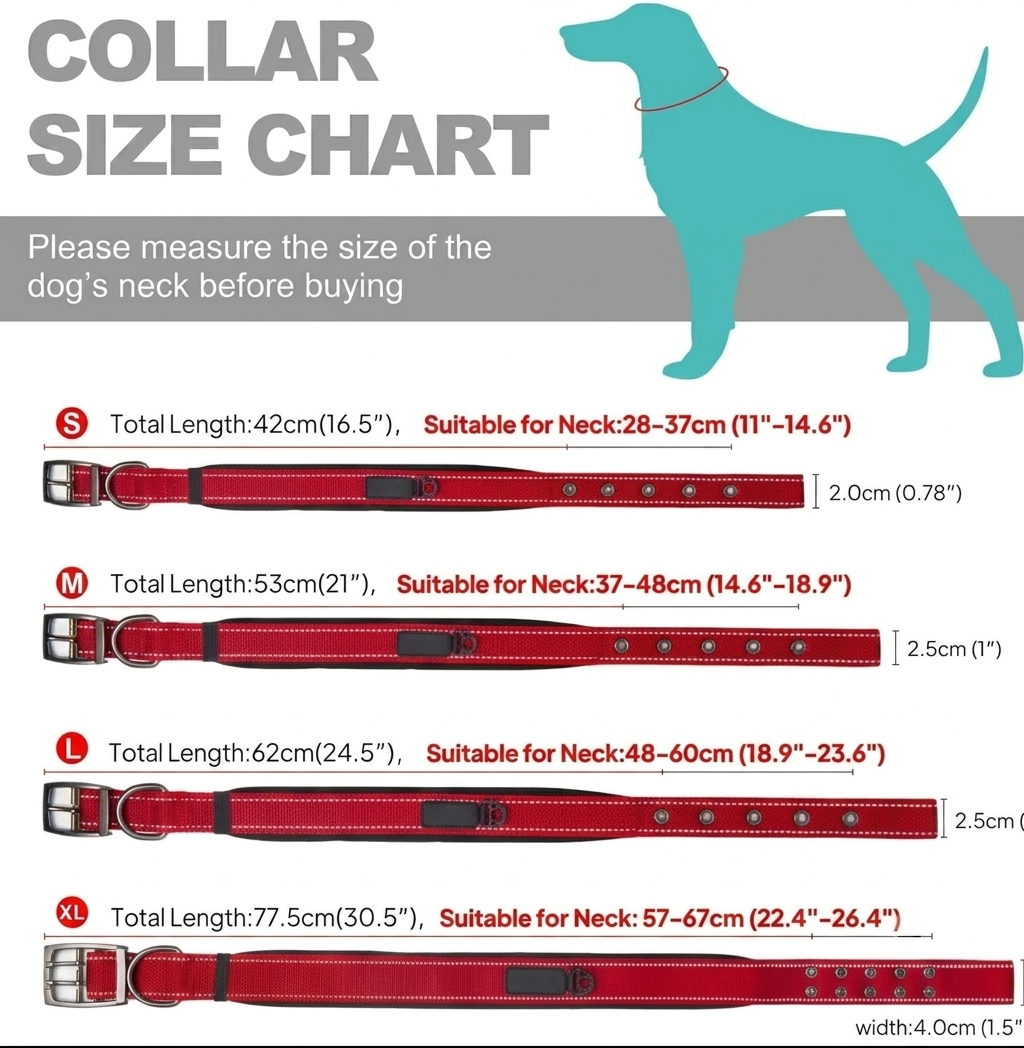 Heavy Duty Dog Collar with Metal Buckle – Double-Layer Webbing