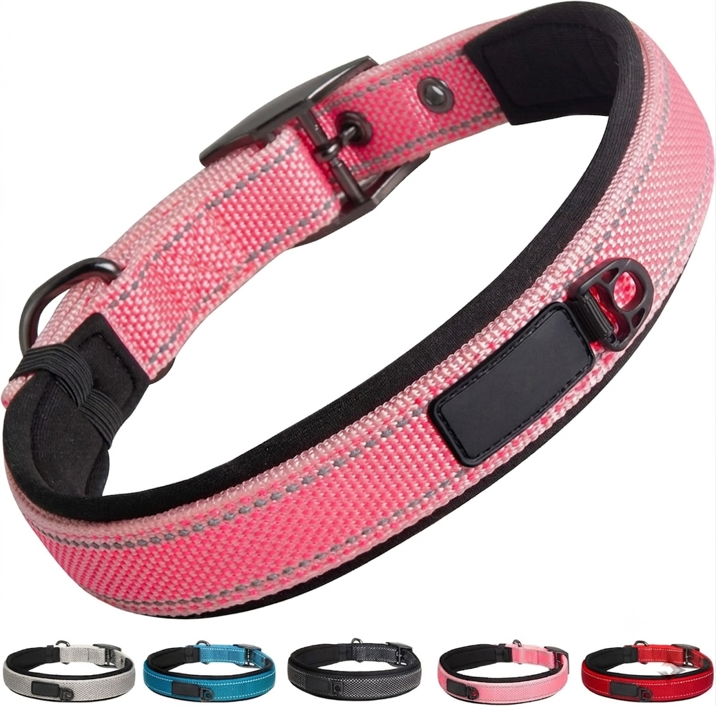 Heavy Duty Dog Collar with Metal Buckle – Double-Layer Webbing