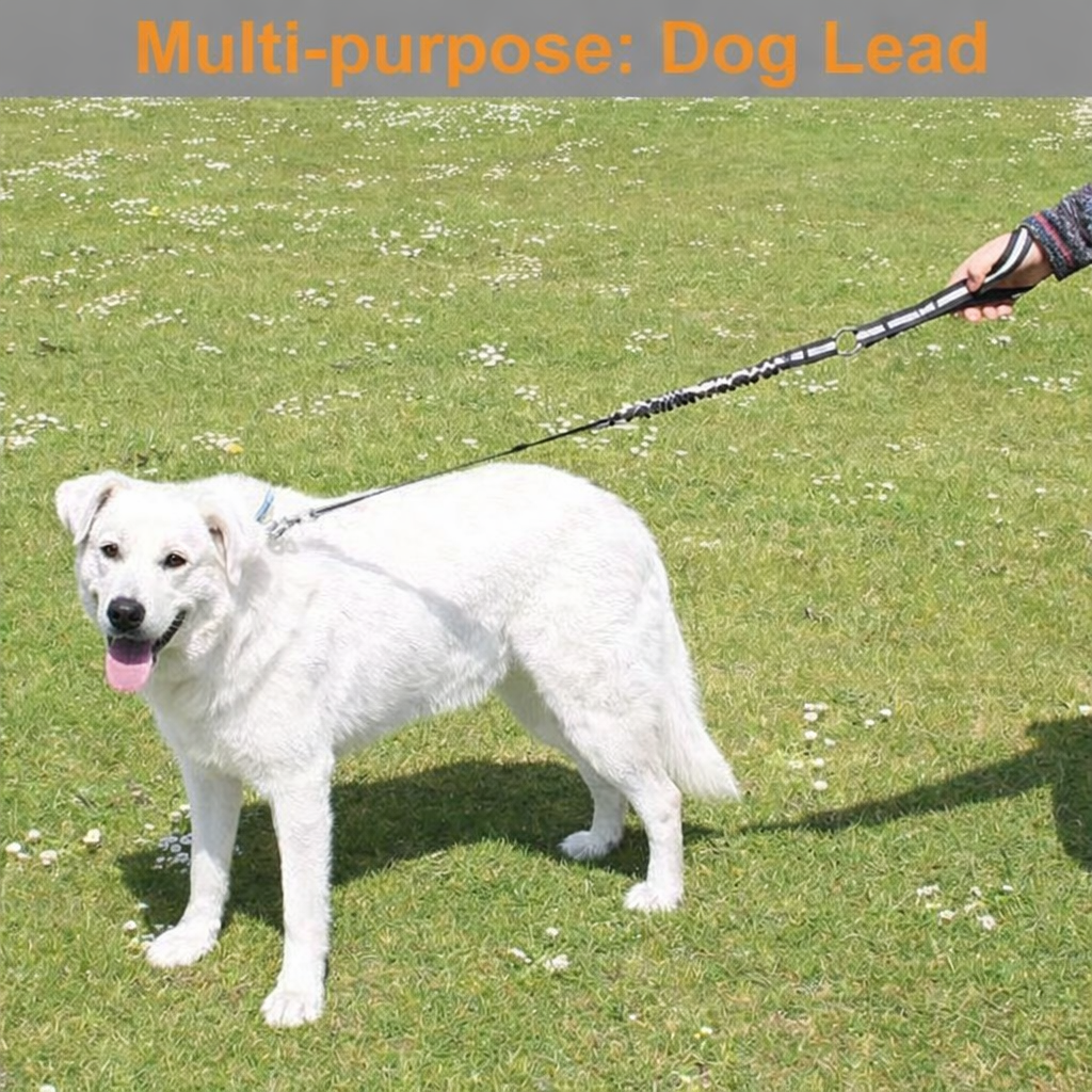 Dog Seat Belt for Car – Adjustable Headrest Safety Strap