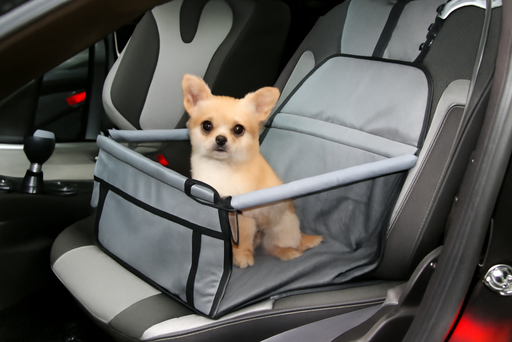 Foldable Dog Booster Car Seat & Travel Carrier – Portable Pet Seat with Safety Harness