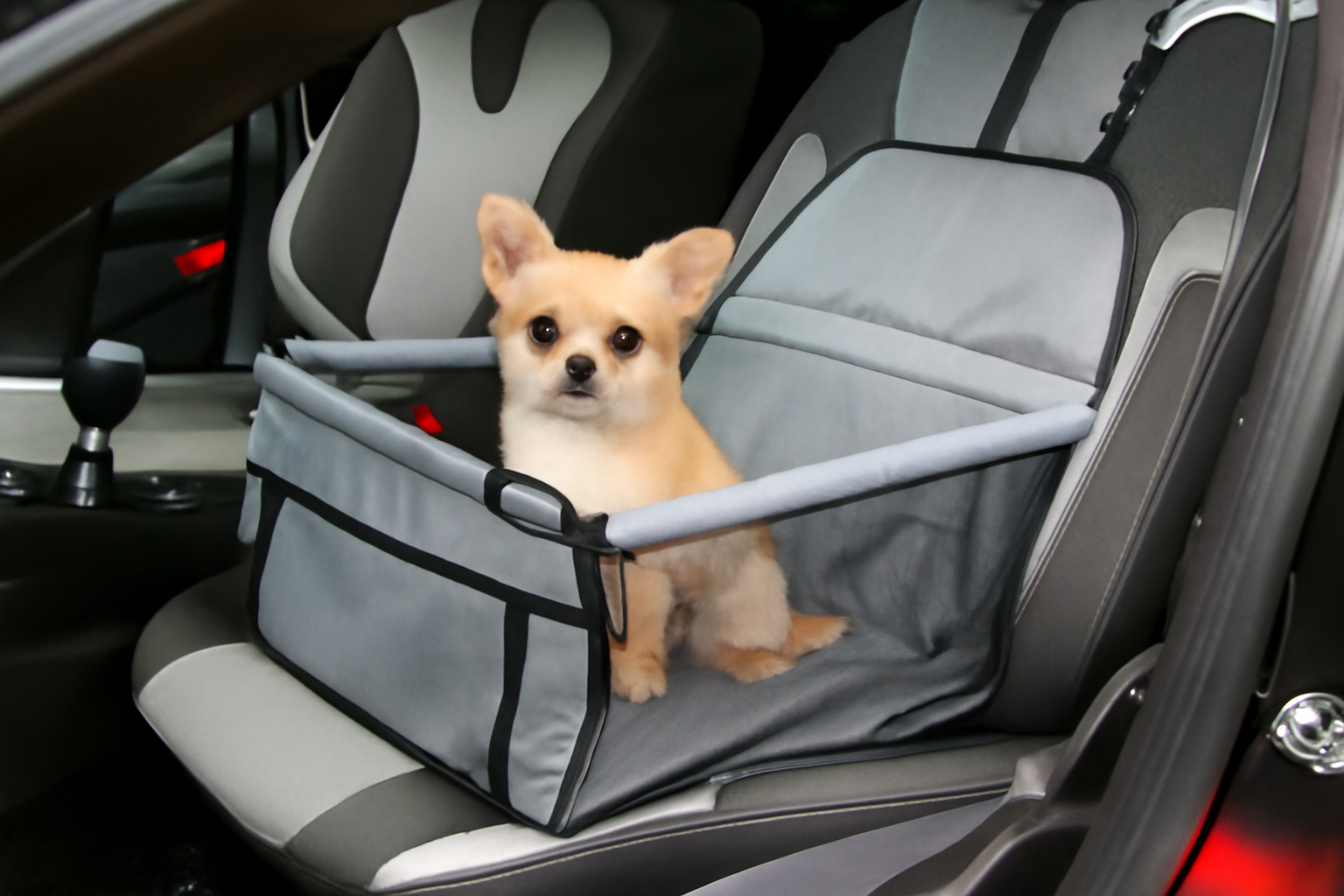 Foldable Dog Booster Car Seat & Travel Carrier – Portable Pet Seat with Safety Harness