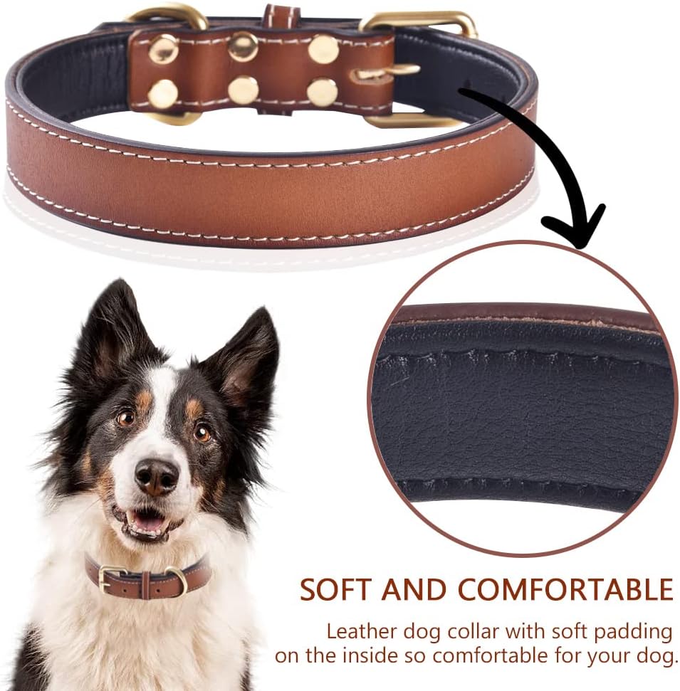 Genuine Leather Dog Collar, Padded, Soft & Durable