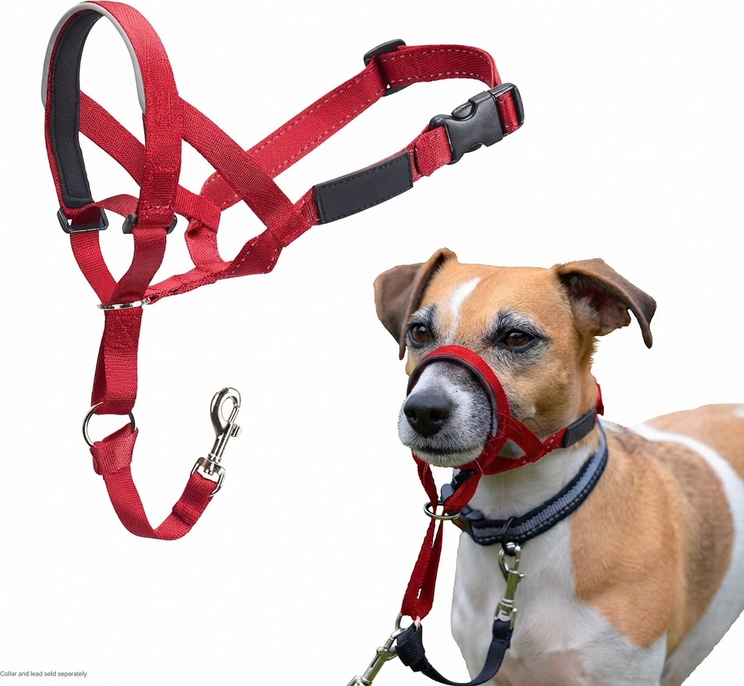 Dog Anti-Pull Headcollar — Adjustable, Reflective & Lightweight