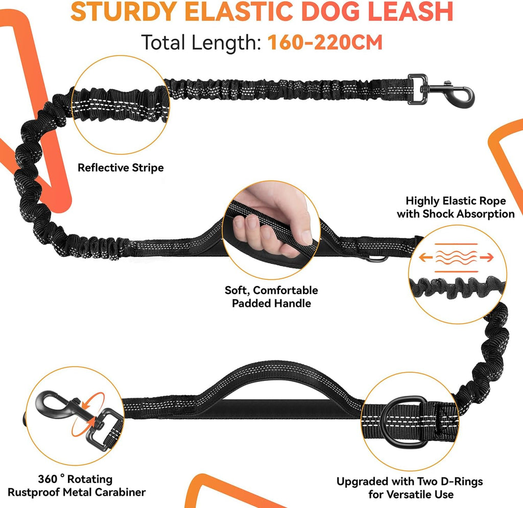 Hands-free dog lead with adjustable waist belt, shock-absorbing strap