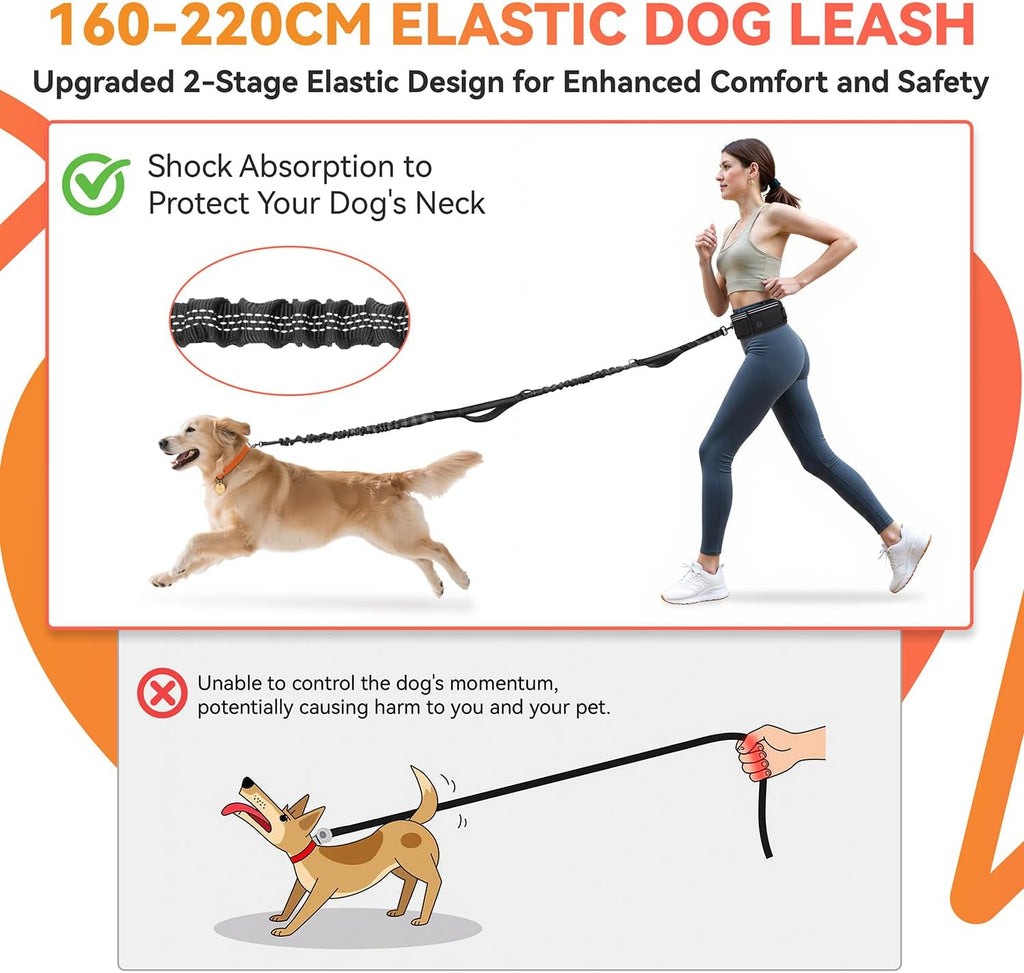 Hands-free dog lead with adjustable waist belt, shock-absorbing strap