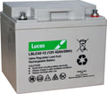 LSLC42-12 SEALED LEAD ACID VRLA BATTERY 12V 42AH FNC12420