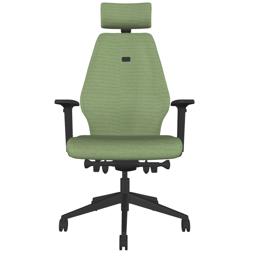 Backsaver 550 Super Ergonomic Office Chair