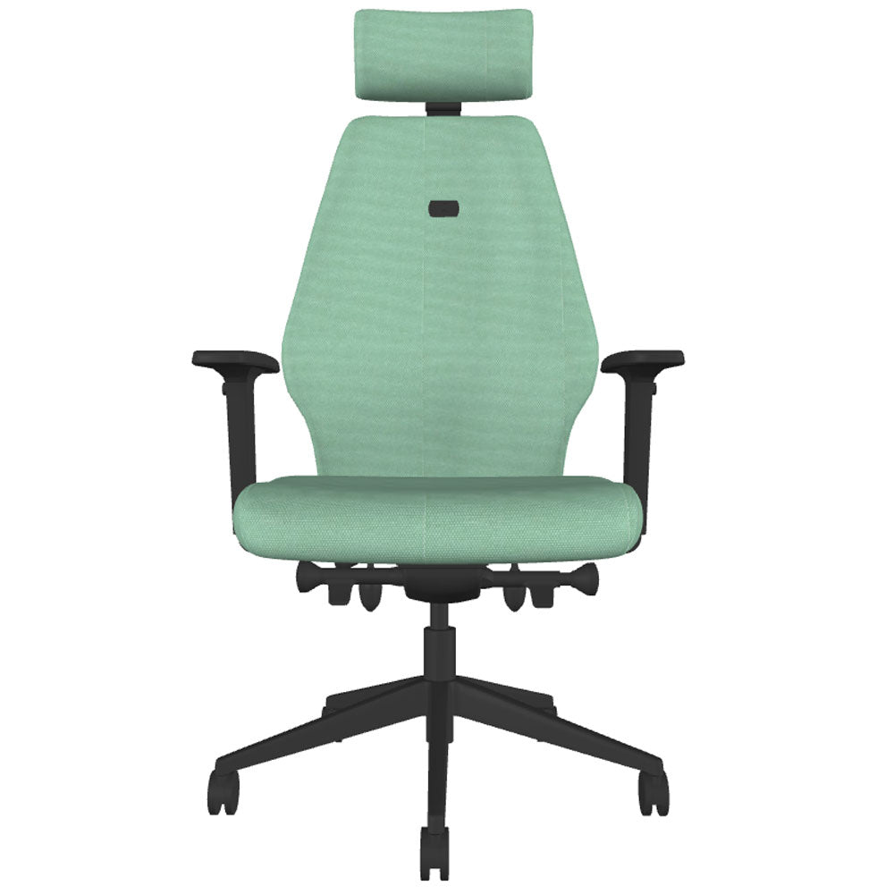 Backsaver 550 Super Ergonomic Office Chair