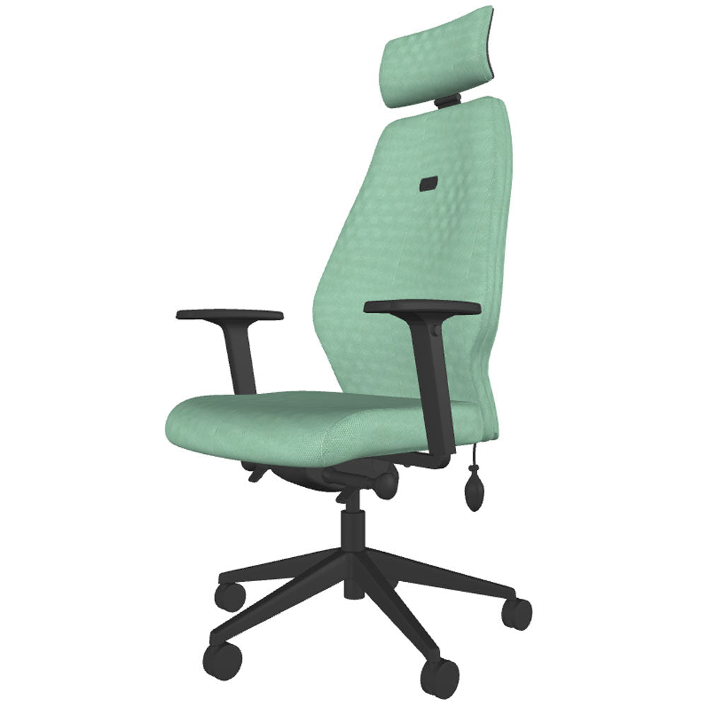 Backsaver 550 Super Ergonomic Office Chair
