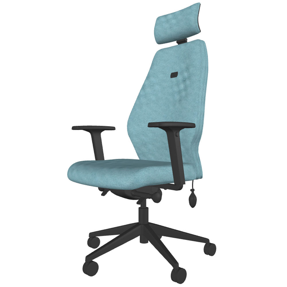 Backsaver 550 Super Ergonomic Office Chair
