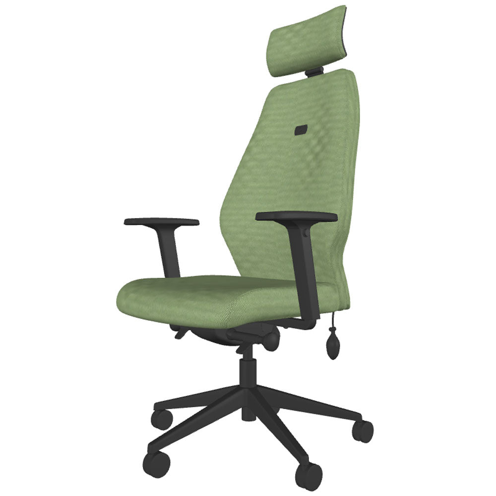 Backsaver 550 Super Ergonomic Office Chair