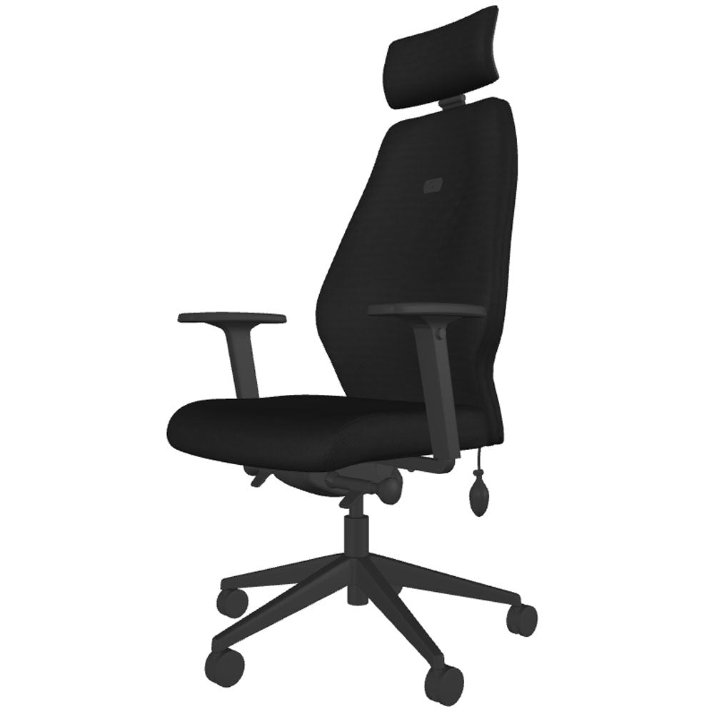 Backsaver 550 Super Ergonomic Office Chair