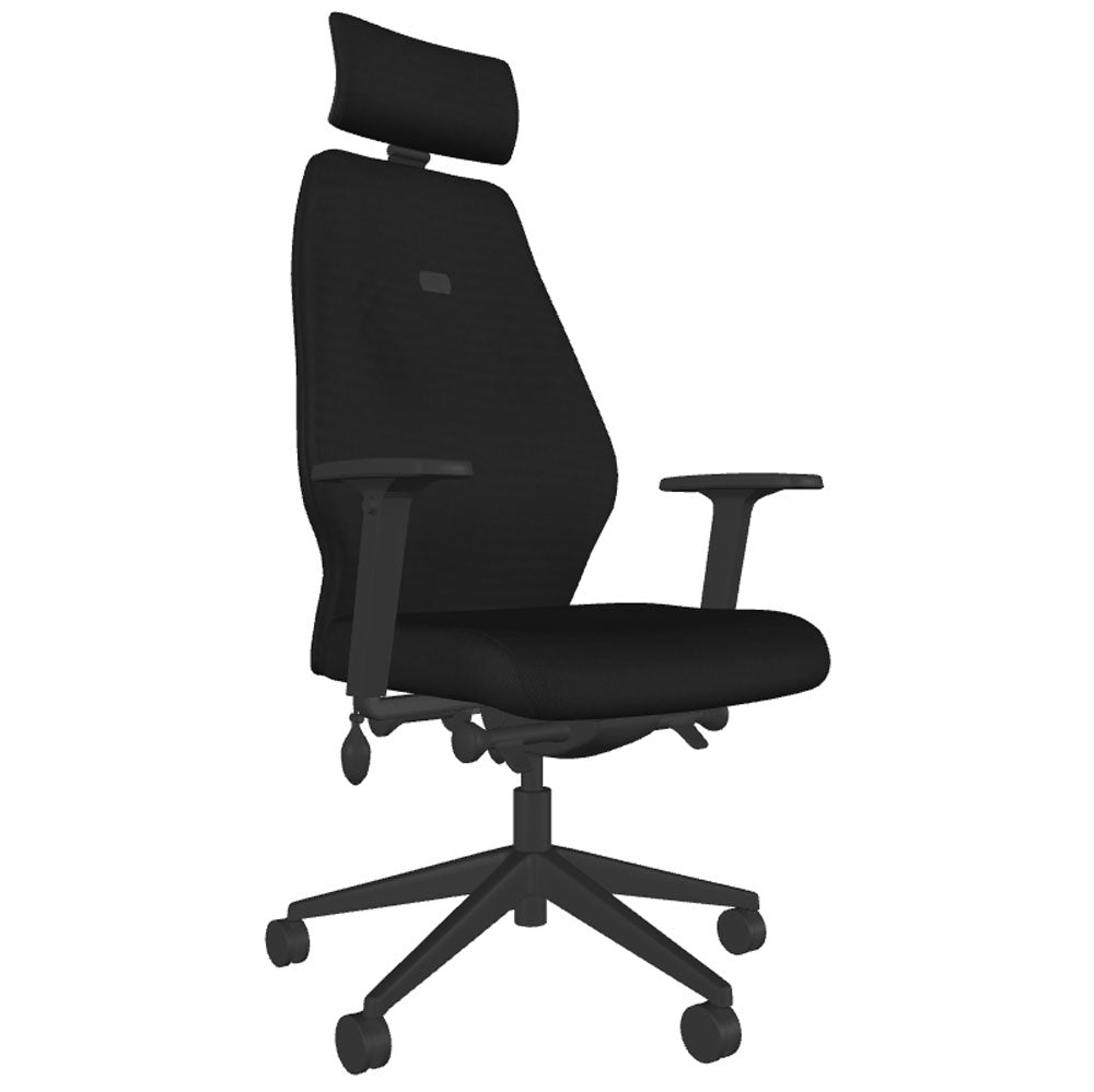 Backsaver 550 Super Ergonomic Office Chair