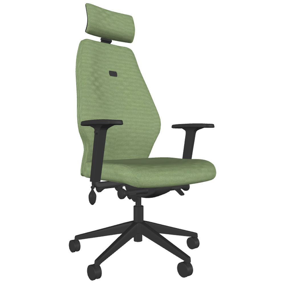 Backsaver 550 Super Ergonomic Office Chair