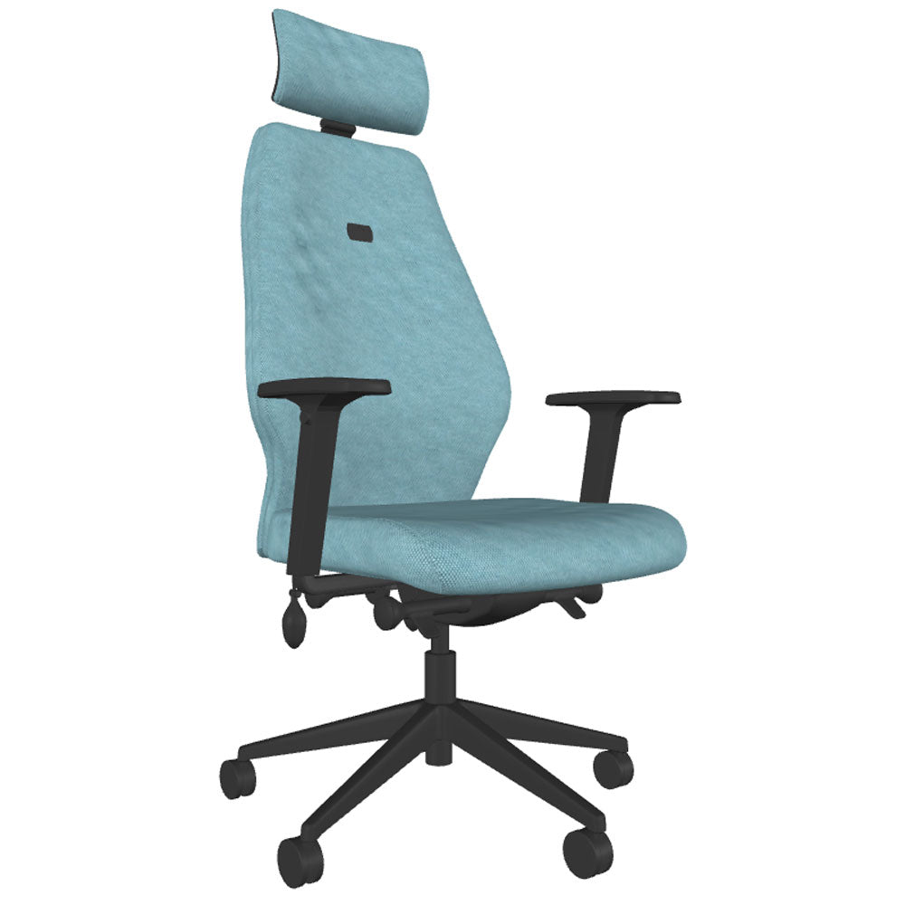 Backsaver 550 Super Ergonomic Office Chair