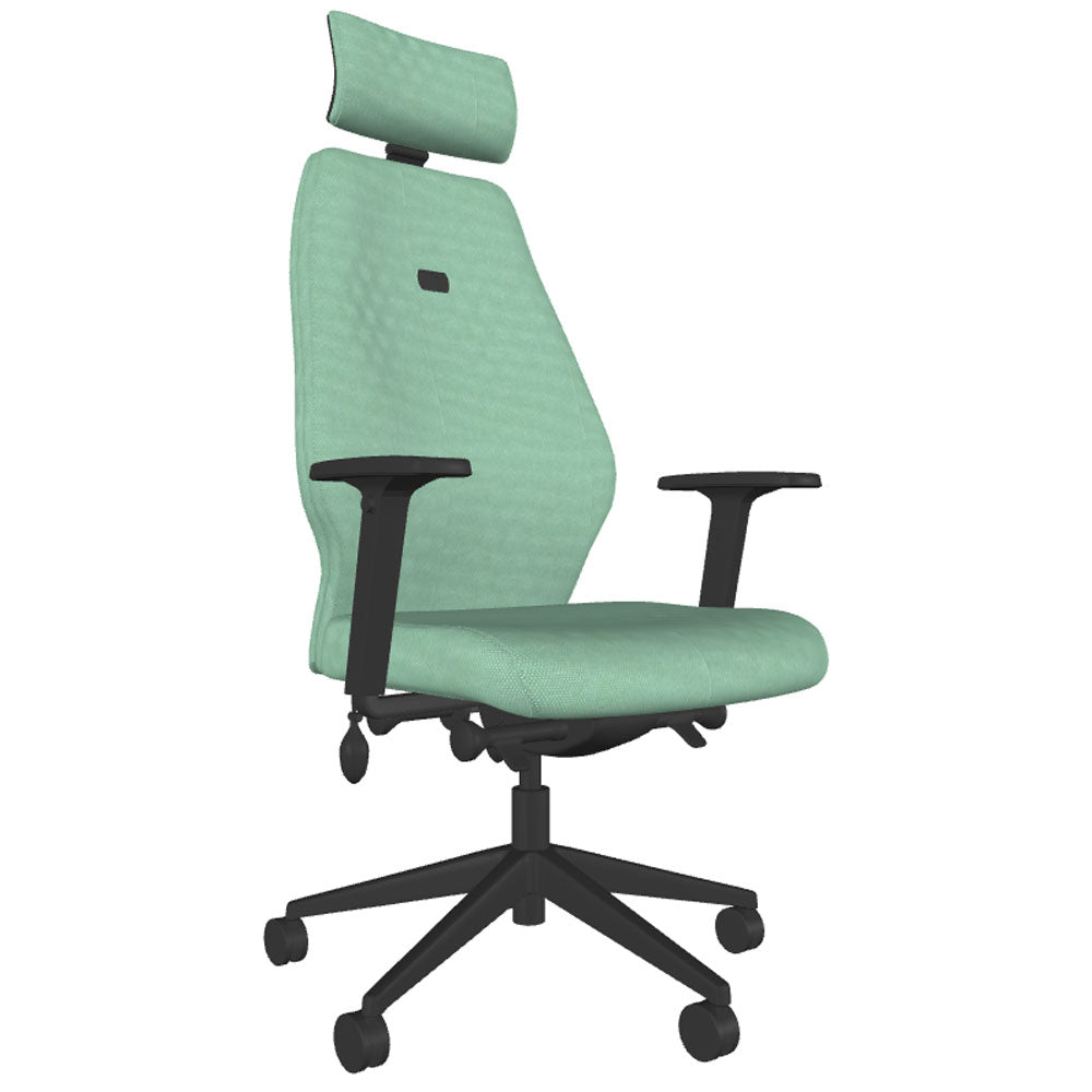 Backsaver 550 Super Ergonomic Office Chair