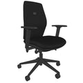 Backsaver 200 Super Ergonomic Office Chair