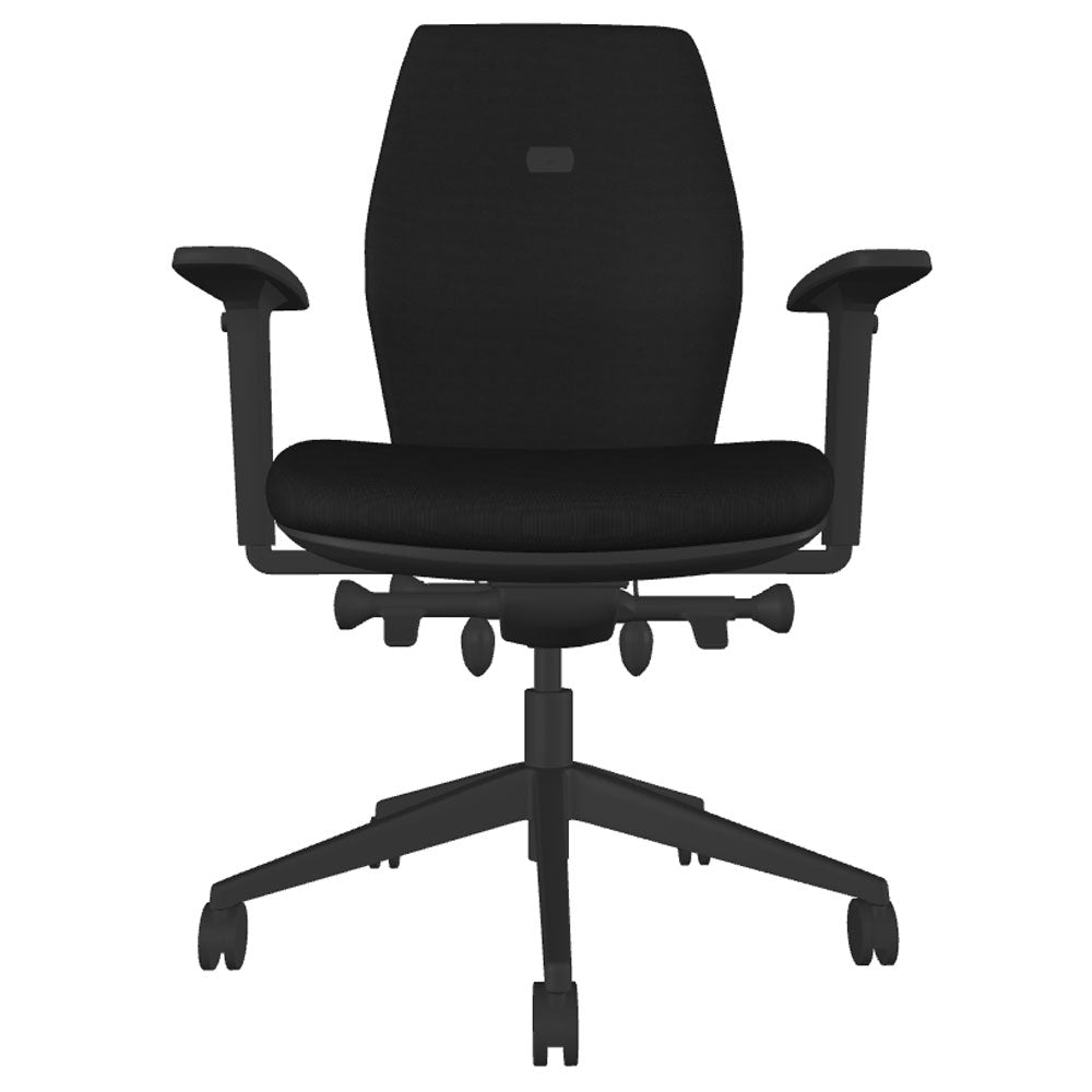 Backsaver 200 Super Ergonomic Office Chair