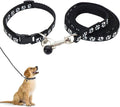 Puppy Collar and Lead Set, Adjustable Paw Print Collar & Leash