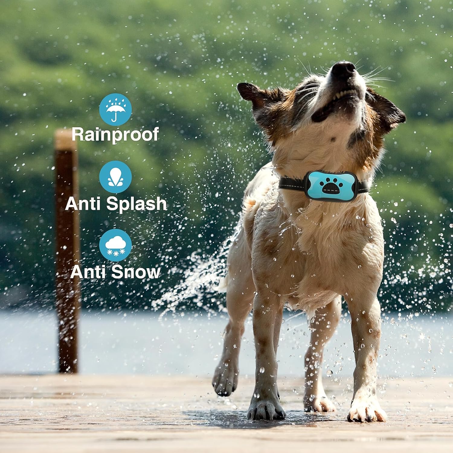 Rechargeable Bark Collar for Dogs – Beep & Vibration