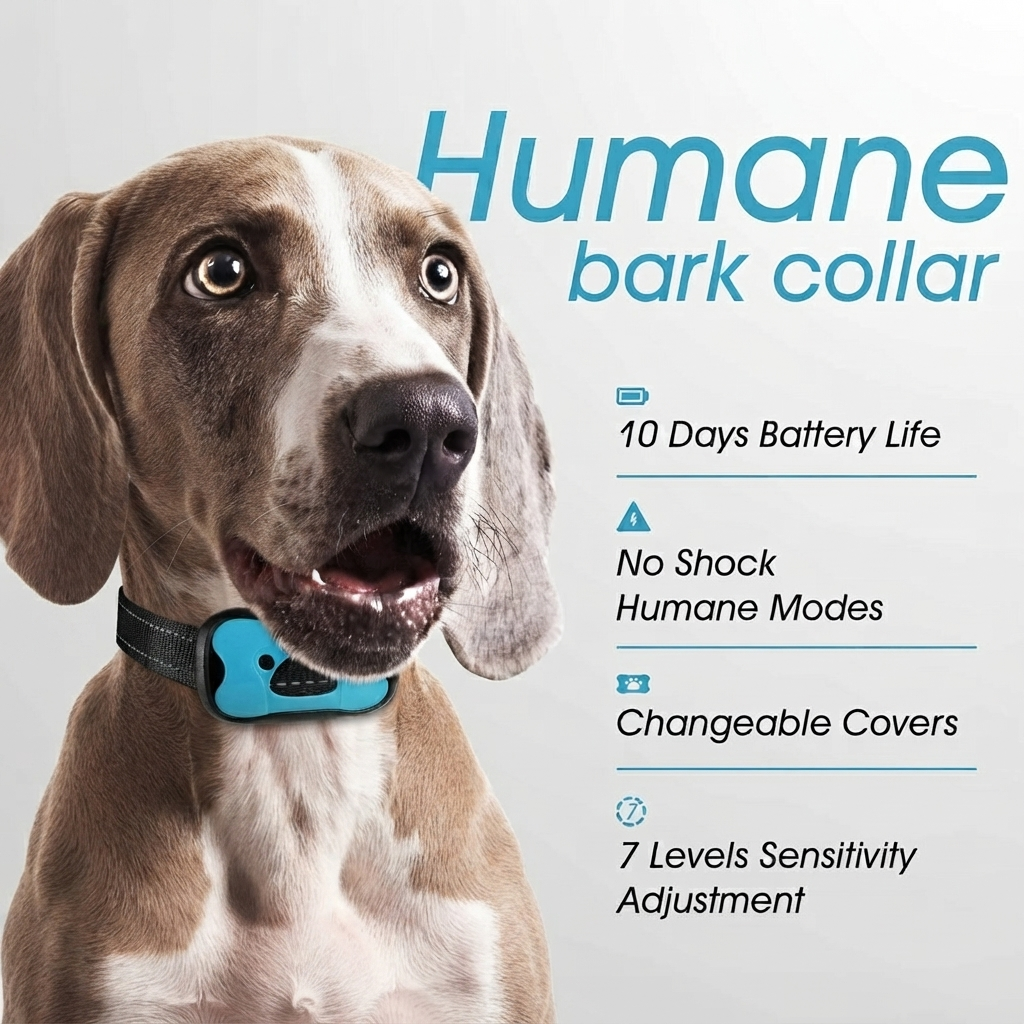 Rechargeable Bark Collar for Dogs – Beep & Vibration