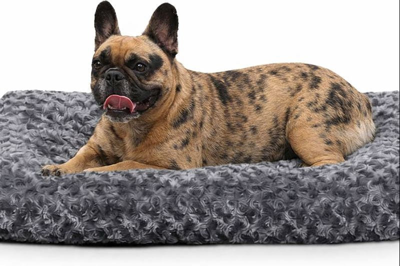 Small Dog Bed – Premium Washable Memory Foam – Dark Grey, 60x45x7cm