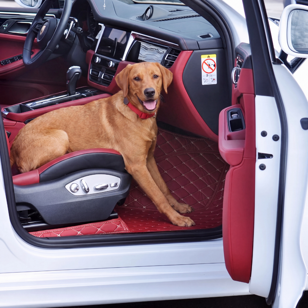 Fur Friends™ - Custom Car Floor Mats
