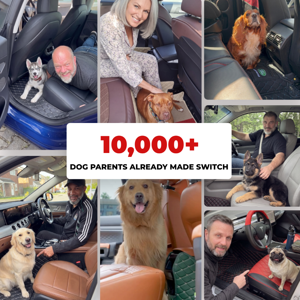 Fur Friends™ - Custom Car Floor Mats