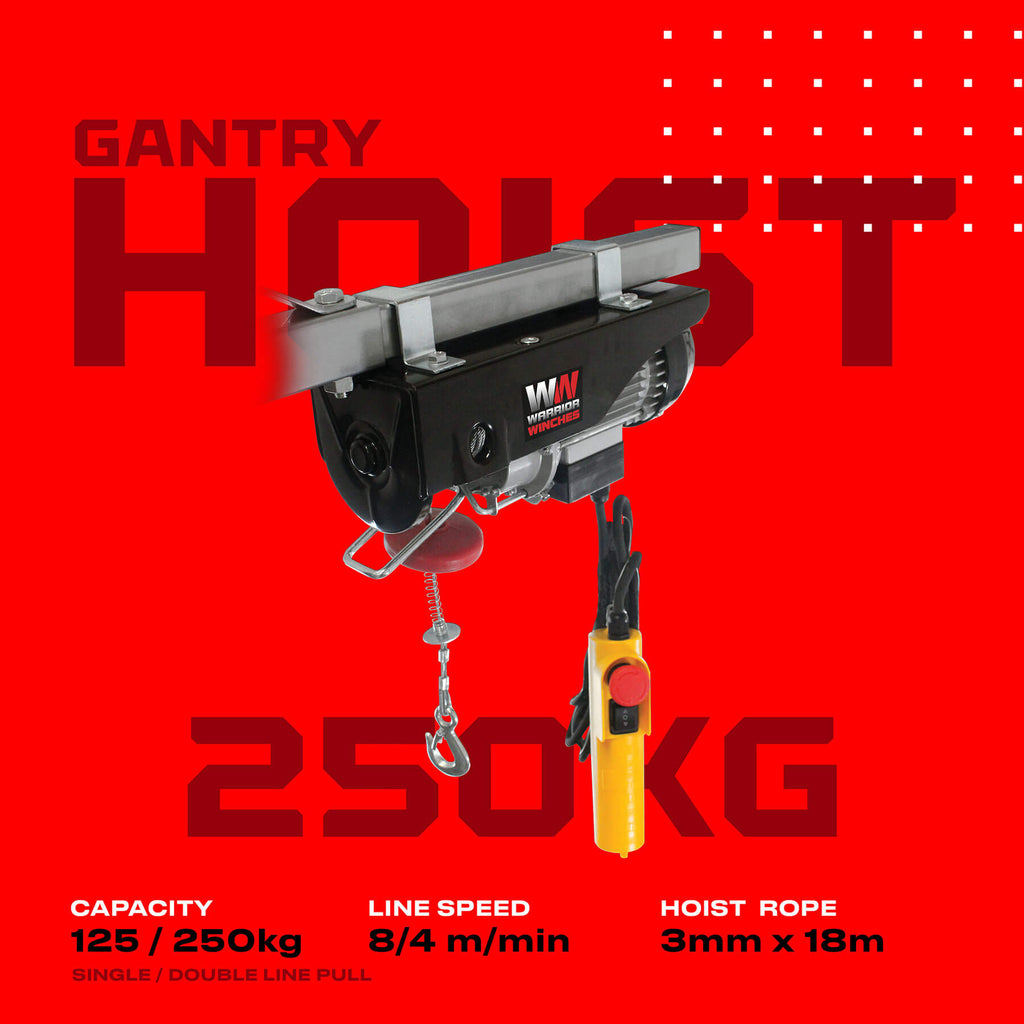 Warrior 250kg Electric Hoist - 240v