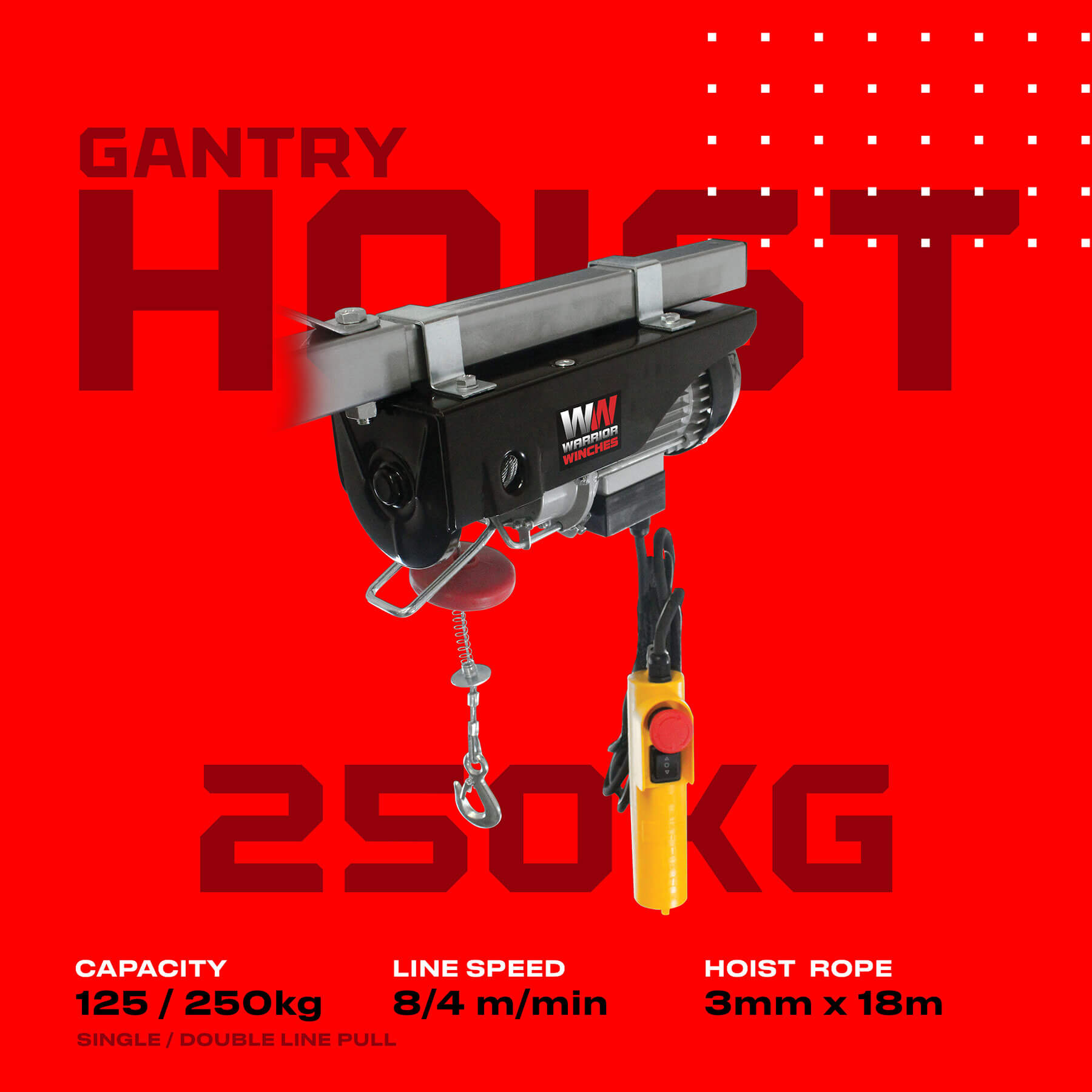 Warrior 250kg Electric Hoist - 240v