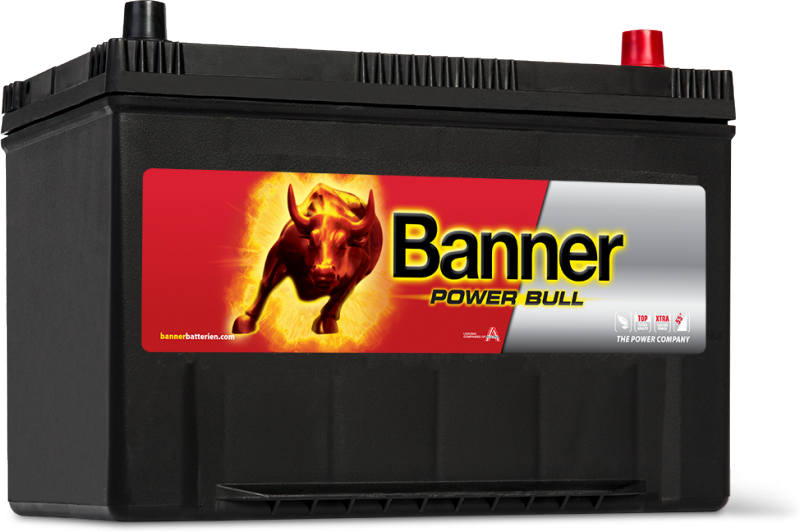 Banner (P9504) Power Bull Car Battery 12v 95Ah 740A (249 / 335)