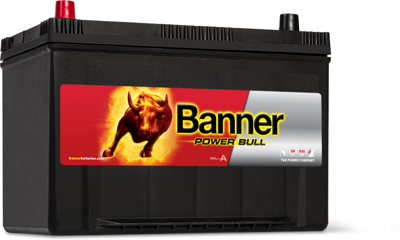 Banner (P9505) Power Bull Car Battery 12v 95Ah 740A (250 / 334)