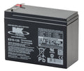 ES10-12s 12V 10Ah MK Battery