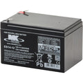 ES14-12 12V 14Ah MK Battery