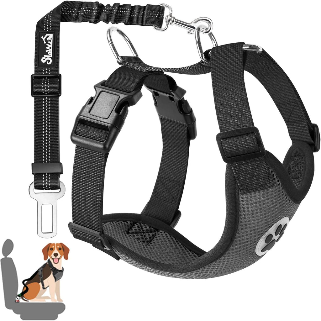 Dog Car Harness Seat Belt Set
