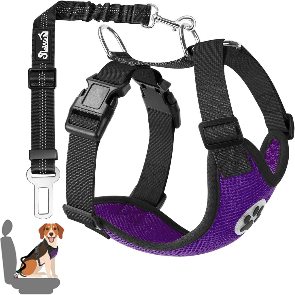 Dog Car Harness Seat Belt Set