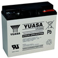 Long WP22-12N Battery Equivalent 22Ah